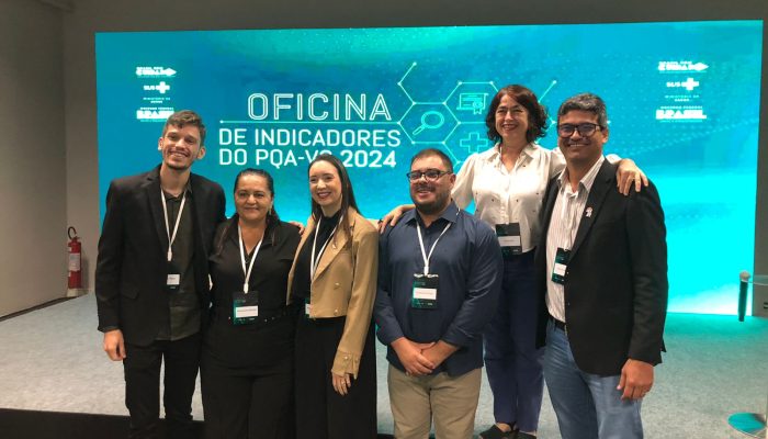 Oficina de Indicadores do PQA-VS 2024 em Brasília reúne representantes de Pernambuco