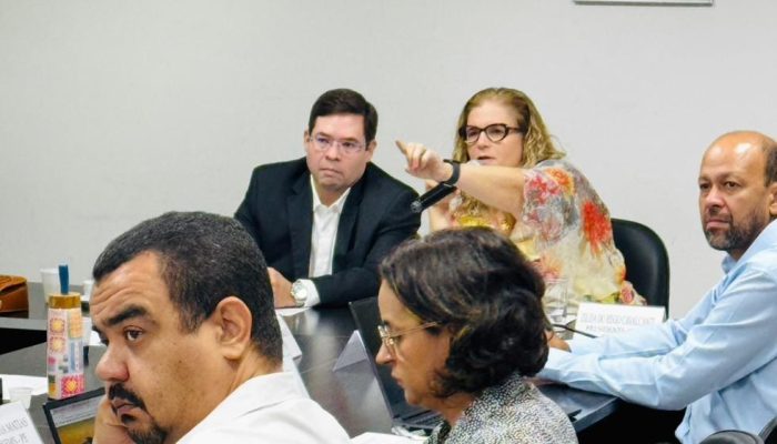 COSEMS-PE participa da reunião da CIB de julho na sede da SES