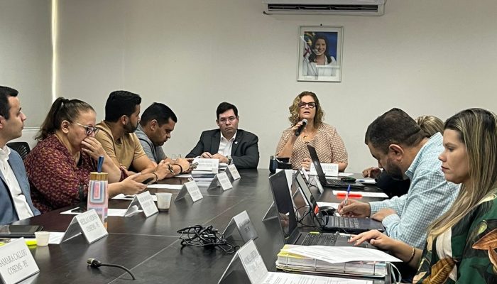 COSEMS-PE participa da 438ª Sessão Plenária da Comissão Intergestores Bipartite