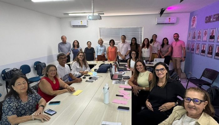 COSEMS-PE realiza oficina de alinhamento, integração e planejamento estratégico 2026 entre assessoria técnica e apoiadoras